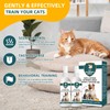 Cat Deterrent Spray - Safe Non-Toxic Anti-Scratch Repellent for Dogs