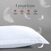 LYMA Bedding Pillow Cases 2 Pack, Ultra Soft Breathable Oxford