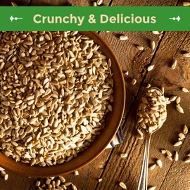 Sincerely Nuts Sunflower Seeds Roasted and Salted, Hulled | No Shell, Gluten-Free Snack, Vegan, and Kosher Certified 5(LB) Bag