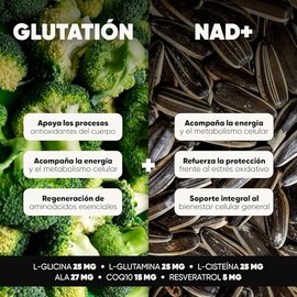 Antioxidante Glutatión NAD+ 90 Cápsulas con NAC y CoQ10 Homodeus