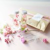 Kadu (Handmade) Starter Kit Begins as soon as you receive