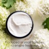 Lavender Rose Neroli Body Butter by Better Shea Butter -