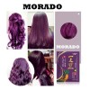 Paquete 10 Piezas Shampoo Tinte Instantaneo 15min Cubre Cana