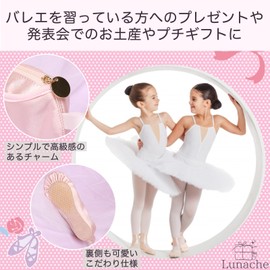 Lunache Ballet Recital Present, Ballet Shoes, Ballet Miscellaneous Goods, Pen Case, Gift, Accessory Case, Makeup Pouch, Stylish, Cute, Birthday Gift (Baby Pink), babypink, girly