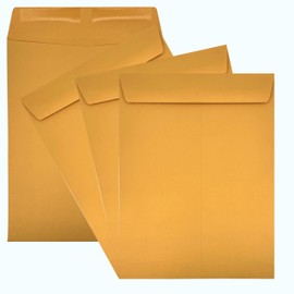 100 Cashier Depot 10" x 13" Catalog Envelope, Durable 28lb Brown Kraft, Deep Gum Flap, 100 Envelopes