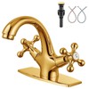 Aolemi Bathroom Sink Faucet Single Hole Cold and Hot Double