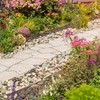 VINICS 40lbs Large River Rocks for Landscaping, 2-3 Inch Natural