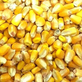 Unbranded Whole Raw/Re-CLEANED Corn Animal Feed or Arts & Crafts Choose Size RESEALABLE - 18 Pounds