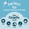 Coachi Target Stick, Telescopic Design with Large Ball for Target,