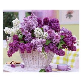 MYARTDP Diamond Painting Kits Flowers for Adults, 5D Diamond Art Painting Kits Full Drill Crystal Diamond Art for Adult Beginners Diamond Paintings Kits for Wall Decor Gift (12x16Inch)