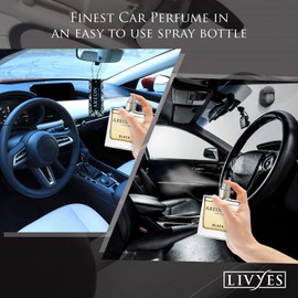 AREON Car Perfume 1.7 Fl Oz. (50ml) Glass Bottle Air Freshener, Platinum