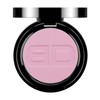 Beni Durrer 040623 Powder Pigments Rose Matt Cold 2.5 g