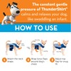 ThunderShirt Breeze for Dogs, X-Large, Aqua, Extra Breathable Mesh Fabric,
