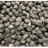 Black Garbanzo Chickpea Ceci Neri Bean Heirloom Seeds for Planting