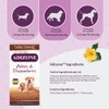 Amber NaturalZ Adizone Herbal Supplement for Dogs | Supports Healthy