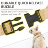 PUPTECK Soft Mesh Dog Harness Small Sized and Leash Set