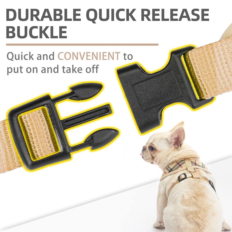 PUPTECK Soft Mesh Dog Harness Small Sized and Leash Set