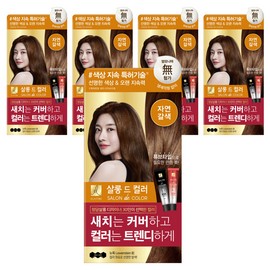 Elastin Salon de Color & Gray Hair Dye Cream, Natural Brown, 5 pieces / 엘라스틴 살롱 드 컬러 앤 새치 염색 크림, 자연갈색, 5개
