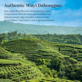 Yuexi Da Hong Pao Oolong Tea Loose Leaf Dahongpao Big Red Robe Chinese Tea Dahongpao Oolong Tea Fujian Wuyi Mountain Core Area Strong Flavors Aftertaste Sweet 大红袍 乌龙茶 武夷山 茶叶 120g/4.23oz