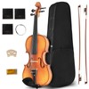 Ceciliec Violin For Beginners, CVN-500 Solidwood Ebony Fitted Starter Violins