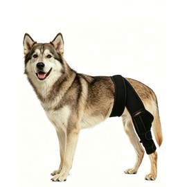 Zkacsue Dog Rear Leg Sleeve for Wound Protection & Lick Prevention - Breathable Anti-Slip Recovery Pants for Hind Leg Healing After Surgery (ACL/TPLO), Hot Spots & Lick Granulomas (M Size)
