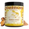COMMONS Hongos Adaptógenos Hongo Chaga Extracto Puro en Polvo