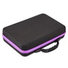 Essential Oil Box, 60 Bottles Essential Oils Handle Carrying Case