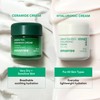INNISFREE Green Tea Ceramide Cream, Korean Moisturising Face Cream with