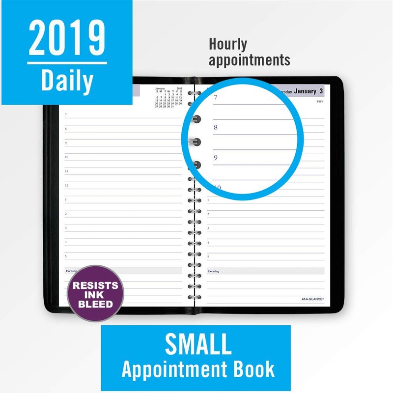 AT-A-GLANCE DayMinder Daily Appointment Book/Planner, January 2019 - December 2019,
