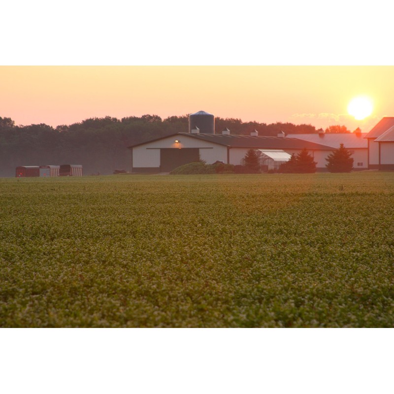 Standard Process Inc. Folic Acid B12-180 Tablets