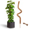 48 Inch Bendable Moss Pole for Plants Monstera, Coir Plant