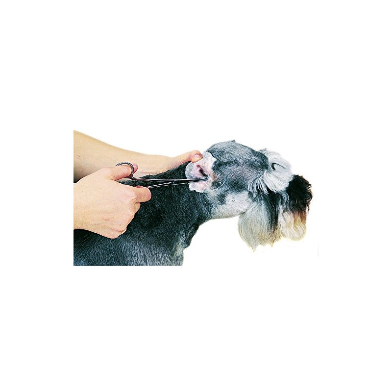 Guardian Gear Top Performance ProEar Professional Ear Powde