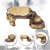 Toolzia Large Turtle Basking Platform, Turtle Tank Ramp Platform, Aquarium