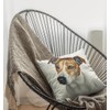 The Beach Stop Decorative Jack Russell Dog Scatter Cushion Cover