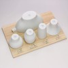 Japan Drinking Comparison Set, Mino Ware, Sake Pot, Tsubomi, Wangri,