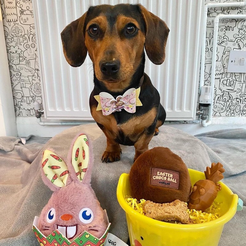 WufWuf Easter Choco Ball Plush Dog Toy – Soft, Durable,
