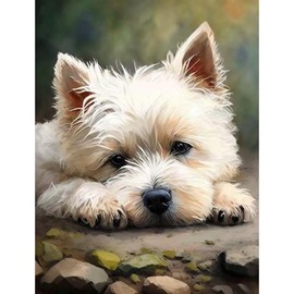 Diamond Painting Kits for Adults，Newfoundland Dog Diamond Art Kits，Poor Dog Full Drill，Animal Close-UpsCrystal Rhinestone Diamond Embroidery Craft Kits for Home Wall Decor - Color: Newfoundland Dog E, Size: 8x12inch