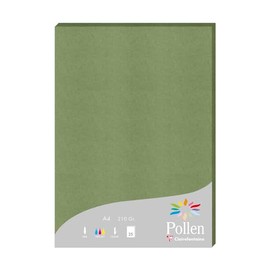 Clairefontaine 24270C - Pack of 25 Sheets of Pollen, DIN A4 210 x 297 210 g/m², Ideal for Your Invitations and Correspondence, Sage, 1 Pack