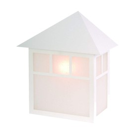 Acclaim 4702TW Artisan Collection 1-Light Wall Mount Outdoor Light Fixture, Textured White