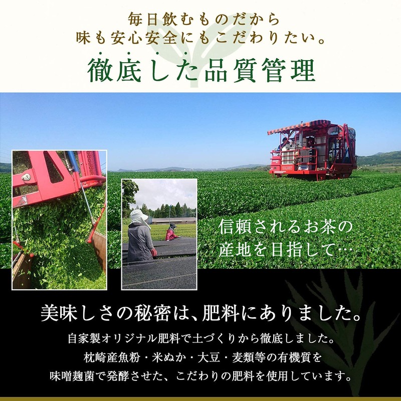 【鹿児島産煎茶 みなみの風 100g】農薬不使用 自家製有機質肥料栽培 高級緑茶葉 知覧(深蒸し煎茶)