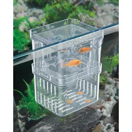 Pawfly Small Aquarium Fish Breeding Box for Fry Hatchery, Shrimp & Aggressive Fish Isolation