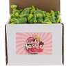 SECRET CANDY SHOP Tootsie Fruit Chews Candy Bulk in Box