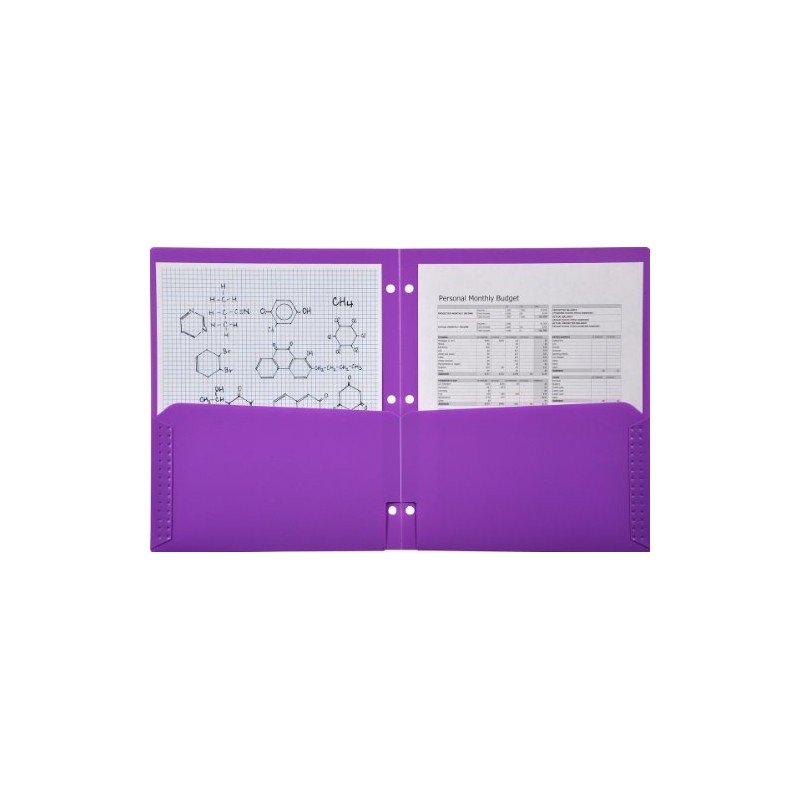 Lion 2-Pocket Plastic Folder for Binder, Lavender Purple, Pack of
