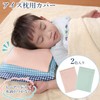 [Kawabata Takisaburo Shoten] Pillowcase Pillow Cover Mesh Ice Pillow Cover