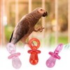 Pssopp 50 Pieces Bird Parrot Nipple Toy Bite Chew Toy