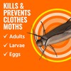 TERRO Clothes Moth Killer – T2903 3 Pack | Kills