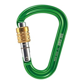 SALEWA Unisex – Erwachsene HMS PRO Carabiner, Lime Green, Uni