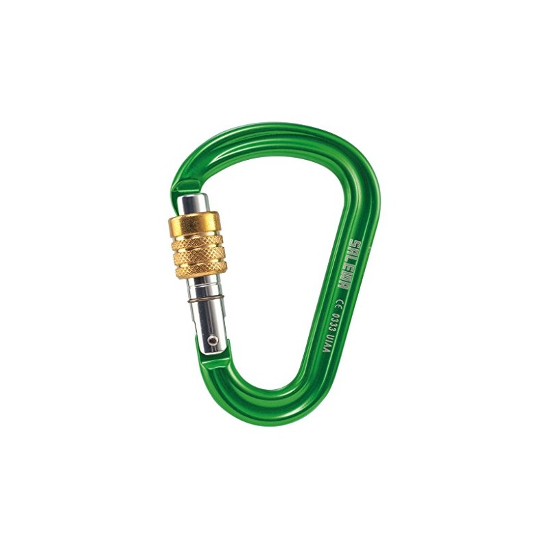 SALEWA Unisex – Erwachsene HMS PRO Carabiner, Lime Green, Uni