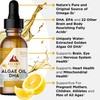 Ascent Nutrition Algae Oil DHA Omega-3's | Vegan and Vegetarian