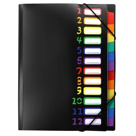 QWORK Document Folder A4 with 12 Compartments, Expanding Folder Sorting Folder Waterproof PP Plastic Organiser Folder with Elastic Band